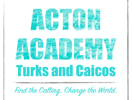 ACTION ACADEMY TCI