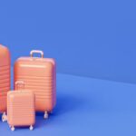 All You Need To Know About travellingaapples.com