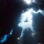 Exploring the Wonders of Žižole: A Deep Dive