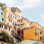Fapelli: Understanding a Niche Market and its Applications