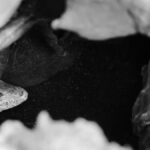 Lizardbreath5678: An Enigmatic Exploration into Its Significance
