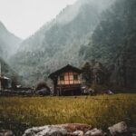 Zidaho: Why It’s the Perfect Place to Call Home