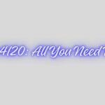chubbs4l20: All You Need To Know