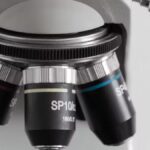 Olympus Scanlation: A Comprehensive Overview