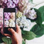Picuki: Exploring the Tool That Redefined Instagram Viewing and Digital Culture
