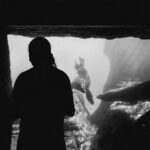 Takireioustory: Exploring the Depths of an Unfamiliar Tale