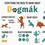 Everything You Need To Know About Dogmák