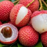 Lychee: The Sweet Tropical Fruit